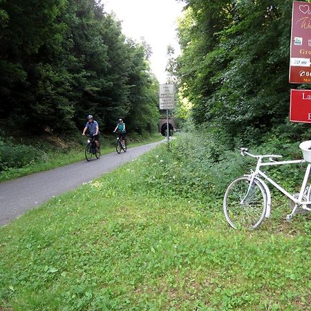 Hotel Waldschloesschen Plein Zewnętrze zdjęcie