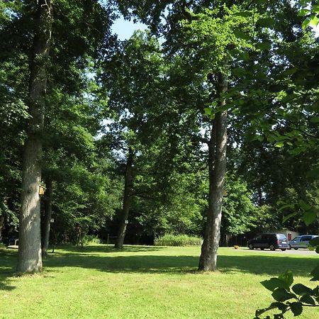 Hotel Waldschloesschen Plein Zewnętrze zdjęcie