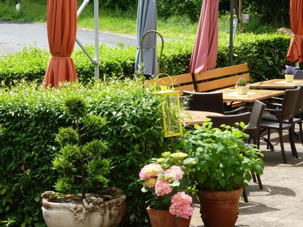 Hotel Waldschloesschen Plein Zewnętrze zdjęcie