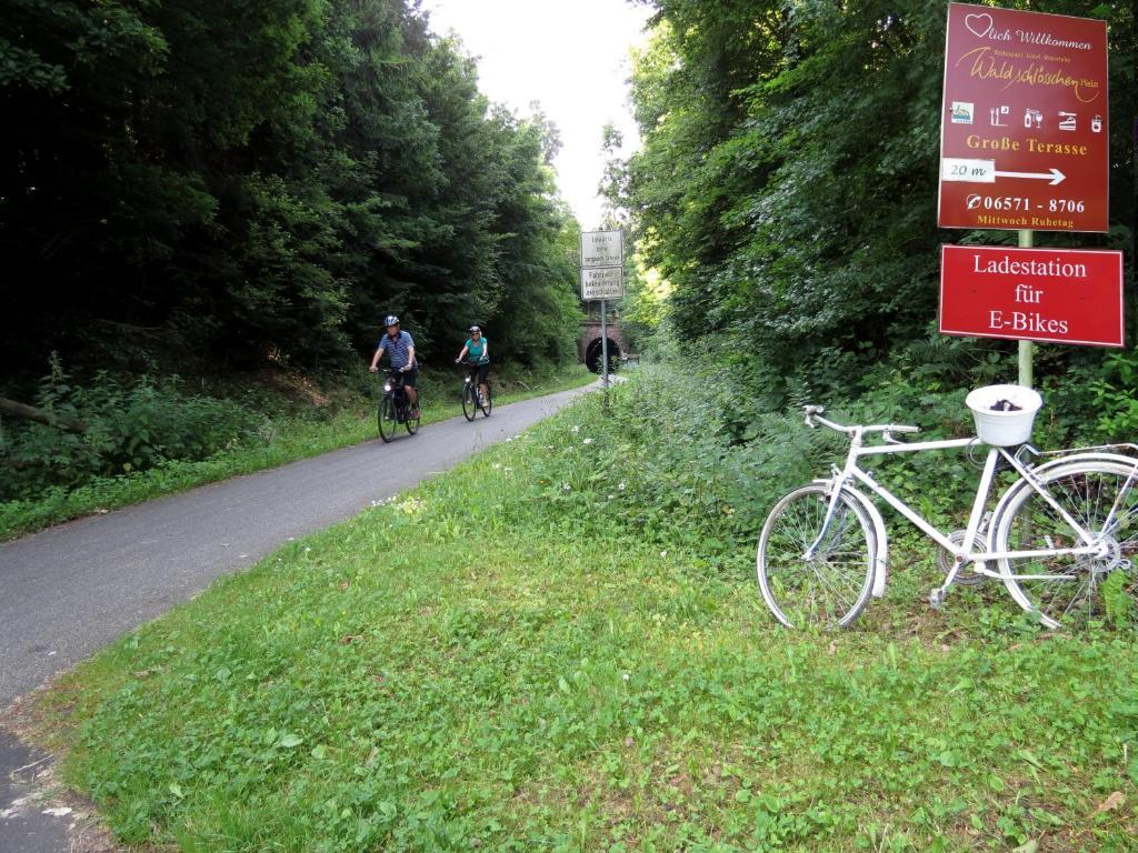 Hotel Waldschloesschen Plein Zewnętrze zdjęcie