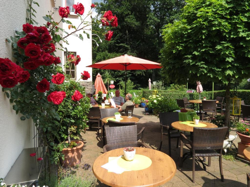 Hotel Waldschloesschen Plein Zewnętrze zdjęcie